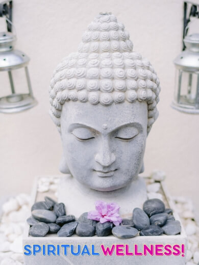 Elevate Your Spirit: Discover Wellness Through Sanatan Dharma